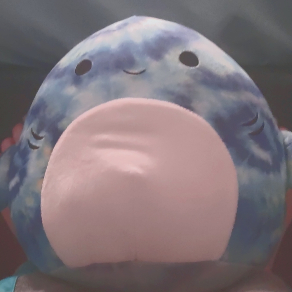 A squishmallow